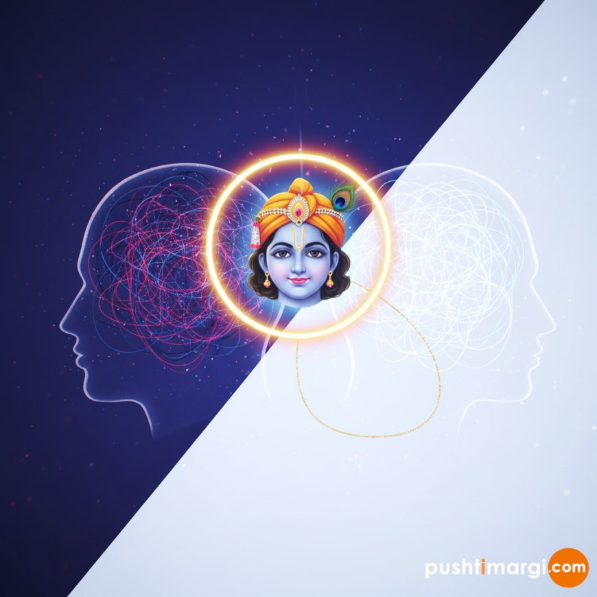 રોજ કરો 'Self-Check': શ્રી કૃષ્ણ-સ્મરણથી તમારી આદતો સુધારો